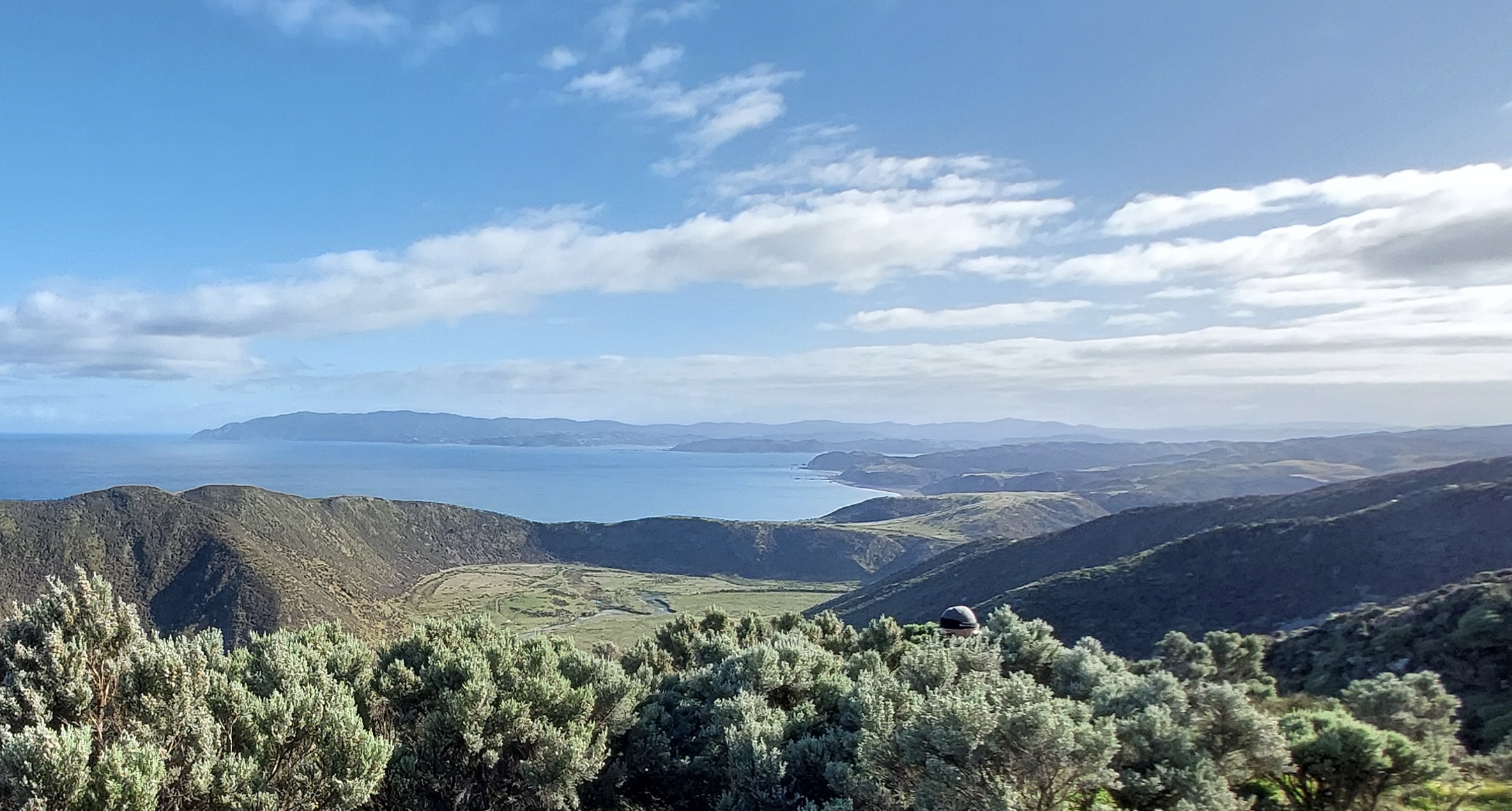 Te Moana-o-Raukawa, Pōneke Mei 2025